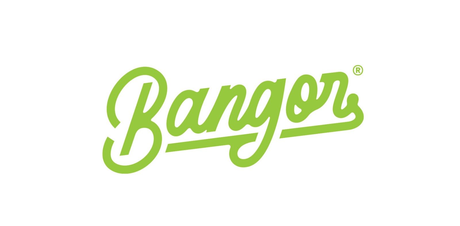 Cover Ignatius Chandra